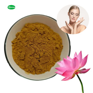 Estratto di Fiore di Loto Rosa 100% Naturale in Polvere 10:1 per Cura della Pelle Cosmetica a Prezzo di Fabbrica - Product Image 1