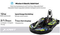 Karts électriques commerciaux à grande vitesse (60 km/h-80 km/h) pour la location, karting professionnel de course pour adultes