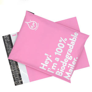 Sobre de Envío Biodegradable con Logotipo Personalizado, Bolsa de Correo de Polipropileno, Bolsa de Envío de Plástico - Product Image 1