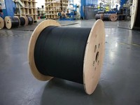 Câble ADSS 24 fibres G.652D, câble à fibres optiques aérien autoportant entièrement diélectrique, extérieur, monomode 24B1