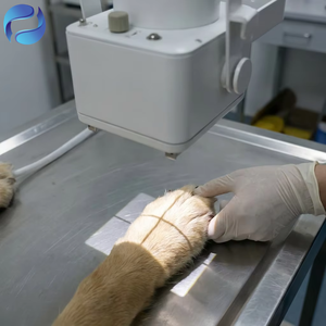 Unidad de Rayos X Veterinaria Portátil Ligera de Suministro Directo de Fábrica, Máquina de Rayos X <span class=keywords><strong>DR</strong></span> Veterinaria con Imágenes de Alta Claridad para Diagnóstico de Fracturas en Animales - Product Image 4