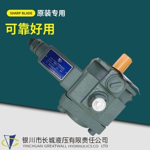 Bomba de Paletas Hidráulica Yinchuan Great Wall Serie YBX D, Flujo Variable, Alta Eficiencia, Funcionamiento Estable - Product Image 4