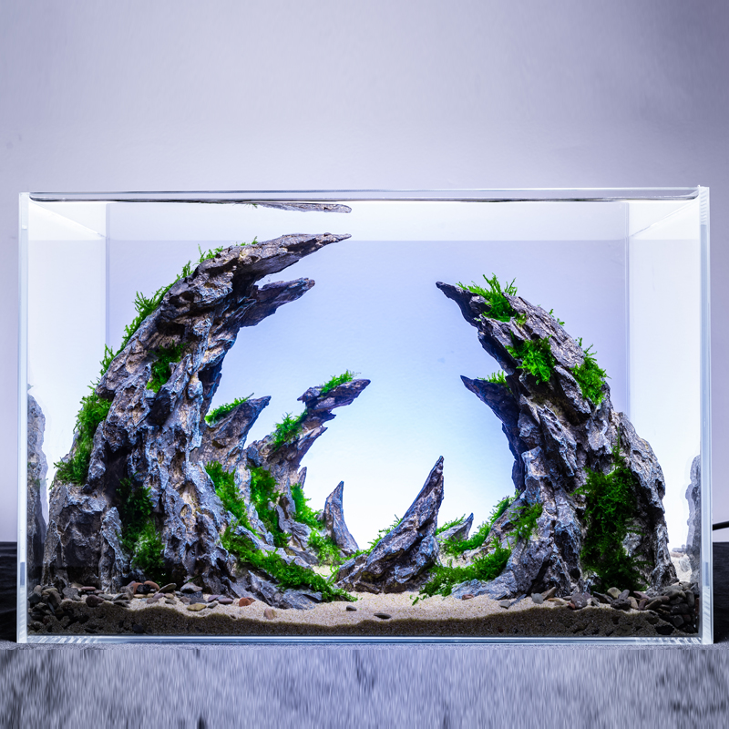 Плоский аквариум на стену. Декоративный мини аквариум. Аквариум 2024. Аквариум biorb 15 л. Большой аквариум с рыбками.