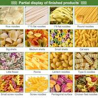 Máquina Automática de Alta Velocidad para la Fabricación de Pasta de 30 kg, para Macarrones, Espaguetis y Fideos con Certificaciones ISO