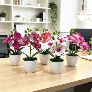 Orchidée Phalaenopsis Artificielle Paulon, 20 cm de Haut, Plante en Pot en Plastique Souple, Décoration d'Intérieur, Accessoires de Photographie - Product Image 1