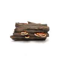 Cachettes et grottes décoratives pour reptiles, logement en bois pour se cacher, grotte pour reptiles