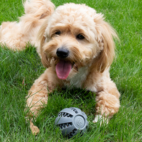 2024 nouveautés jouet pour animaux de compagnie en Silicone Durable de qualité alimentaire personnalisé jouet à mâcher pour chien intelligent et jouet pour chat pour la formation