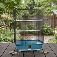 Nichoir carré pour oiseaux d'intérieur, avec plateau coulissant facile pour un nettoyage simplifié, adapté aux perruches, aux pinsons et aux pinsons de compagnie
