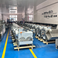 Aardappel Peeler Snijmachine Aardappel Chip Cutter Aardappelen Snijmachines Van Alle Soorten Strips, Vlokken, Filamenten