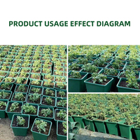 Pot de fleurs unique pour intérieur, en plastique PP, avec trou de drainage circulaire, léger, durable, capacité de 2 à 15 L, pour pépinière d'arbres