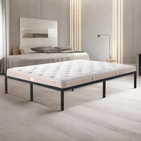 Cadre de lit plateforme en acier moderne de haute qualité pour appartements et chambres de style farmhouse, taille et couleur personnalisables, montage facile, capacité 300 kg+