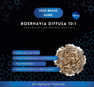 Boerhavia diffusa แคปซูลสมุนไพร10-1ผลิตภัณฑ์เสริมการดูแลสุขภาพที่ปลูกในป่าผลิตจำนวนมากจากอินเดีย - Product Image 2