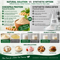 Emulsifier Protein Kacang Kapri Minuman Nabati Protein Bubuk Garbanzo untuk Saus, Roti, Alternatif Produk Susu, Produsen