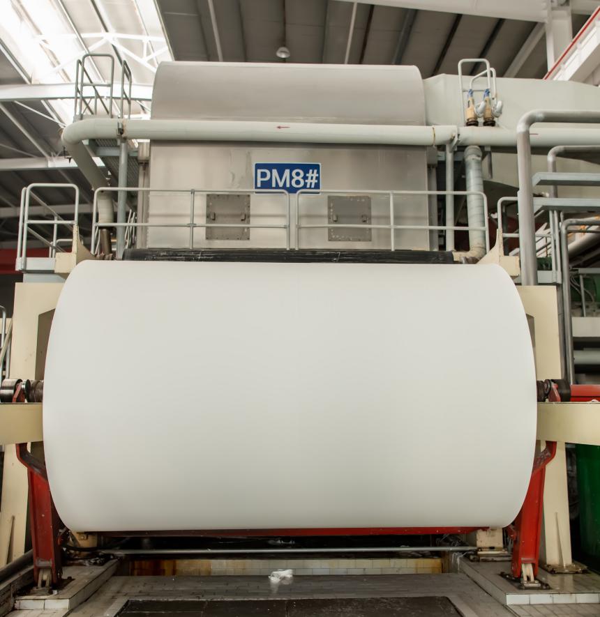 Virgin Pulp Toilet Paper, Jumbo Roll, Raw Materials