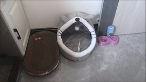 บ้านแมวกำมะหยี่เรียบสำหรับทุกฤดูกาลที่ทันสมัยพร้อมรังของสัตว์เลี้ยงที่บรรจุในกล่อง - Product Image 2