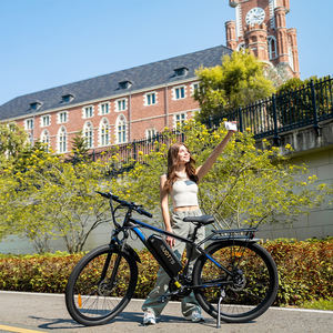 Vélo Électrique de Montagne Hybride Duotts C29 Moteur Moyeu Arrière Sans Balais à Grande Autonomie Livraison dans 25 Pays UE et R-U - Product Image 1