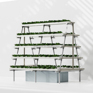 Sistema <span class=keywords><strong>de</strong></span> Cultivo Aeropónico en Forma <span class=keywords><strong>de</strong></span> A con Bomba <span class=keywords><strong>de</strong></span> Riego Automático, Estante <span class=keywords><strong>de</strong></span> Plantación <span class=keywords><strong>de</strong></span> Múltiples Niveles para Vegetales <span class=keywords><strong>de</strong></span> Hoja - Product Image 4