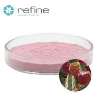 Poudre de fruit de cactus soluble dans l'eau, 100 % pure et naturelle, pour boissons, pâtisseries et aliments santé – Approvisionnement direct usine