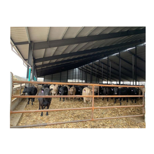 Nueva Nave Prefabricada de Alta Calidad para Ganado Lechero y Cría de Conejos, Estructura de Hormigón con Membrana de PVC, Personalizable y Multifuncional - Product Image 6