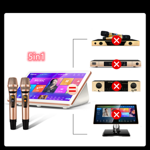 Lecteur de karaoké Magic Sing 4K avec bibliothèque de millions de chansons et réglage du son DSP, machine à jukebox et microphone sans fil - Product Image 4