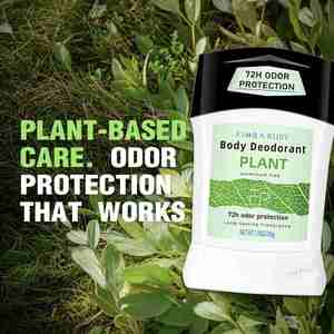 Déodorant en stick à formule à base de plantes, ingrédients naturels, soin de la peau, toucher sec, biologique, longue durée, rafraîchissant - Product Image 4