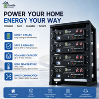Système de batterie solaire LiFePO4 monté sur rack, 6000 cycles, boîtes de batterie sur rack pour stockage d'énergie résidentiel avec protection BMS