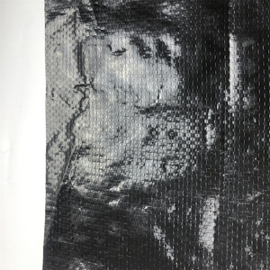 Waterproofing एचडीपीई मछली की खेती तालाब लाइनर 12x30m यूवी प्रतिरोधी काले Leakproof पाली कनवास - Product Image 2