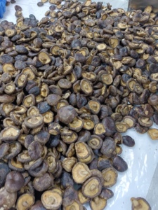 DETAN Atacado Frutas e Vegetais Snacks Crispy Vacuum Fried <span class=keywords><strong>Seafood</strong></span> <span class=keywords><strong>Mushroom</strong></span> Chips - Product Image 4