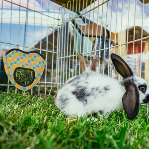 ถุงหญ้ากระต่ายแบบแขวนสำหรับหนูตะเภาและชินชิลล่า ลายผลไม้ ทำจากไนลอน - Product Image 3