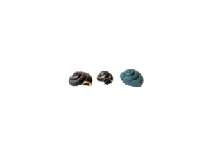 Figurita de Caracol de Harry para decoración, piedra de Caracol de resina de varios colores, utillaje de <span class=keywords><strong>película</strong></span> - Product Image 2