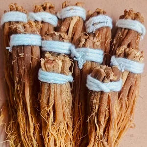 Toptan fiyat doğal kurutulmuş kırmızı <span class=keywords><strong>ginseng</strong></span> lifli kökleri - Product Image 2