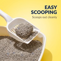 Litière pour chat en bentonite concassée, parfum lavande, granulés désodorisants, faible poussière, absorption rapide, jetable