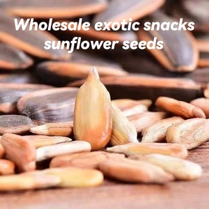 Hạt dưa lưới hữu cơ chất lượng cao 500g bán buôn, hạt hướng dương rang tươi nguyên hạt - Product Image 3