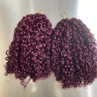 Offre Spéciale – Cheveux Vietnamiens 100 % Naturels, Non Traités, Prix Usine, Plumes de Cheveux au Crochet pour Tresses, Bouclés Pixie 99j #   pour un style bouclé