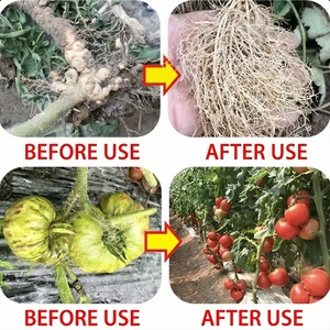 Engrais spécialisé pour la désinfection du <span class=keywords><strong>sol</strong></span>, engrais organique, engrais hydrosoluble, engrais pour le <span class=keywords><strong>sol</strong></span> - Product Image 3