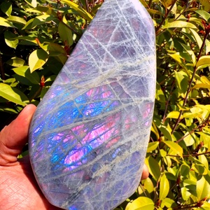 Artigianato Spirituale in Cristallo all'Ingrosso: Pietra Naturale di Labradorite con Flash Viola a Forma Libera per Decorazione - Product Image 6