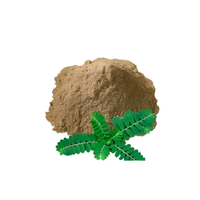 Extrait sec de Phyllanthus Niruri Bhuiamla en poudre, ingrédient végétal botanique pour la fabrication de compléments alimentaires