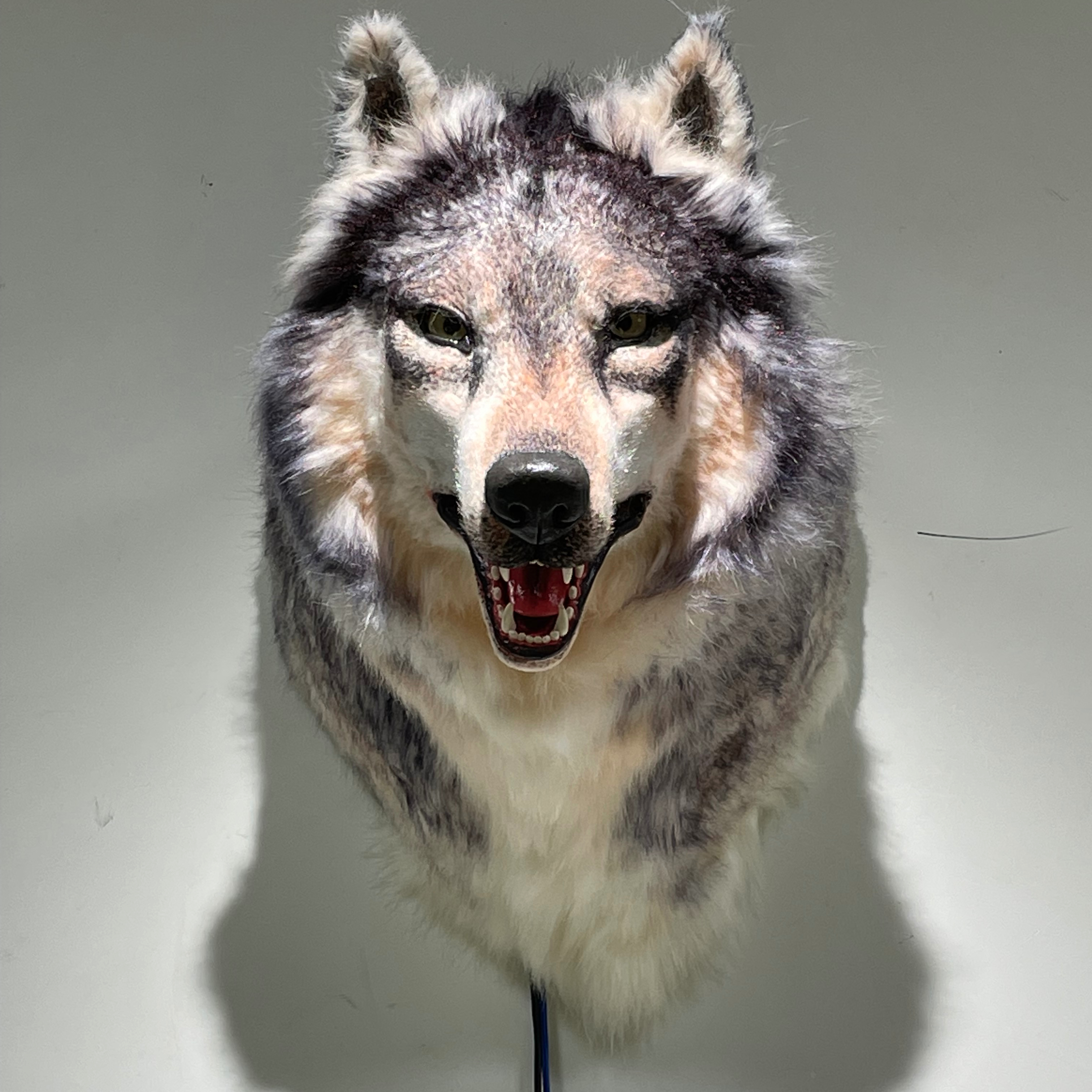 「WOLF’S」/「HEAD」 Wolf Head 3-D Stamp 88459-00 | eBay
