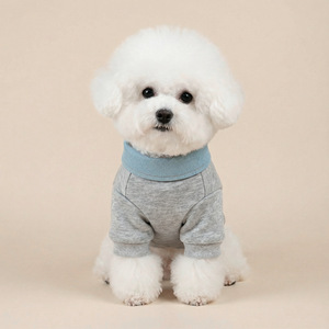 Suéter Casual <span class=keywords><strong>de</strong></span> Dos Piezas con Diseño <span class=keywords><strong>de</strong></span> Osito y Letras para <span class=keywords><strong>Perros</strong></span> Pequeños, Cachorros y Gatos, Cómodo, Estilo Universitario, OEM/ODM - Product Image 2