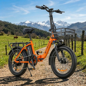Bicicleta Eléctrica Engwe L20 SE con Batería de Litio, Bicicleta Híbrida Urbana con Llantas Gruesas, Bicicleta Eléctrica de Montaña de 48V - Product Image 1