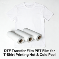 Film de transfert thermique DTF OEM en PET, haute température, 75 µm, transparent, format A4/A3, petit/grand rouleau, personnalisable pour textiles
