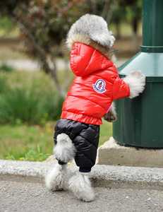 Jxanry Herfst En Winter Viervoetige Huisdierenkleding Verdikte Hondendonsjas Met Capuchon Groothandel Huisdierkleding - Product Image 2