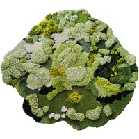 Tapis de sol en peluche unique de haute qualité, décoration moderne pour la maison, paysage forestier 3D doux, fait à la main, imprimé à la machine, respectueux de l'environnement