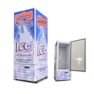 Ruibei Outdoor Single Door Merchandiser Ice Storage Fridge