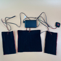 Almohadillas Calefactoras Eléctricas de Fibra de Carbono USB 5V, Personalizadas y Profesionales, para Ropa, Chaquetas, Chalecos y Abrigos
