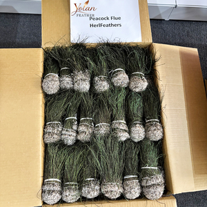 Plumes de paon naturelles en gros de 6 à 8 pouces, enfilées, pour nymphes Prince, attracteurs Steelhead, mouches Buggers et mouches traditionnelles. - Product Image 5