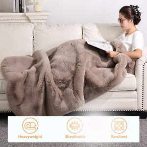 フェイクファーブランケット 重量感のある通気性のあるローラミンキー ソフトで暖かいふわふわ両面フェイクファー毛布 冬用 - Product Image 1