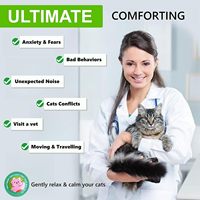 Offre Spéciale : Patchs Apaisants pour Chats à l'Huile Essentielle Naturelle et aux Phéromones – Soulagement de l'Anxiété Longue Durée (72 Heures)