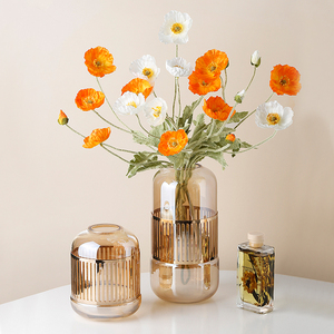 Home Light Luxury Tabletop Glass Flower Vase Indoor Green Plant Decors Terrarium Living room Office Ornaments Vase