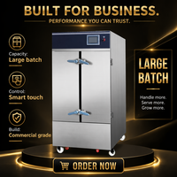 Armoire vapeur électrique sur pied, intelligente, à levage automatique, capacité 100 plateaux/heure, efficacité énergétique A++, garantie 1 an